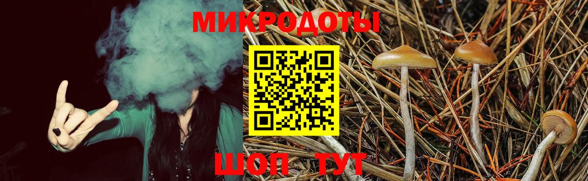 Пугачёв  Галлюциногенные грибы Psilocybine cubensis  Вход с VPN 